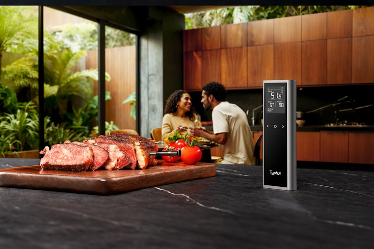 Typhur Grillthermometer SYNC One - 1 Thermometer
