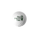 Vorschaubild Big Green Egg Golfball Pro V1 - Titleist