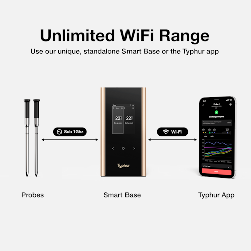 Typhur Grillthermometer SYNC Gold Dual - 2 Thermometer